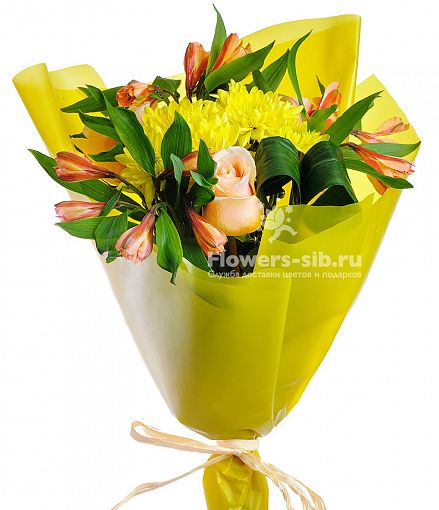 Цветы с доставкой туапсе заказать купить на авито цветы комнатные